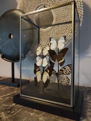 Stolp vlinders Sophie